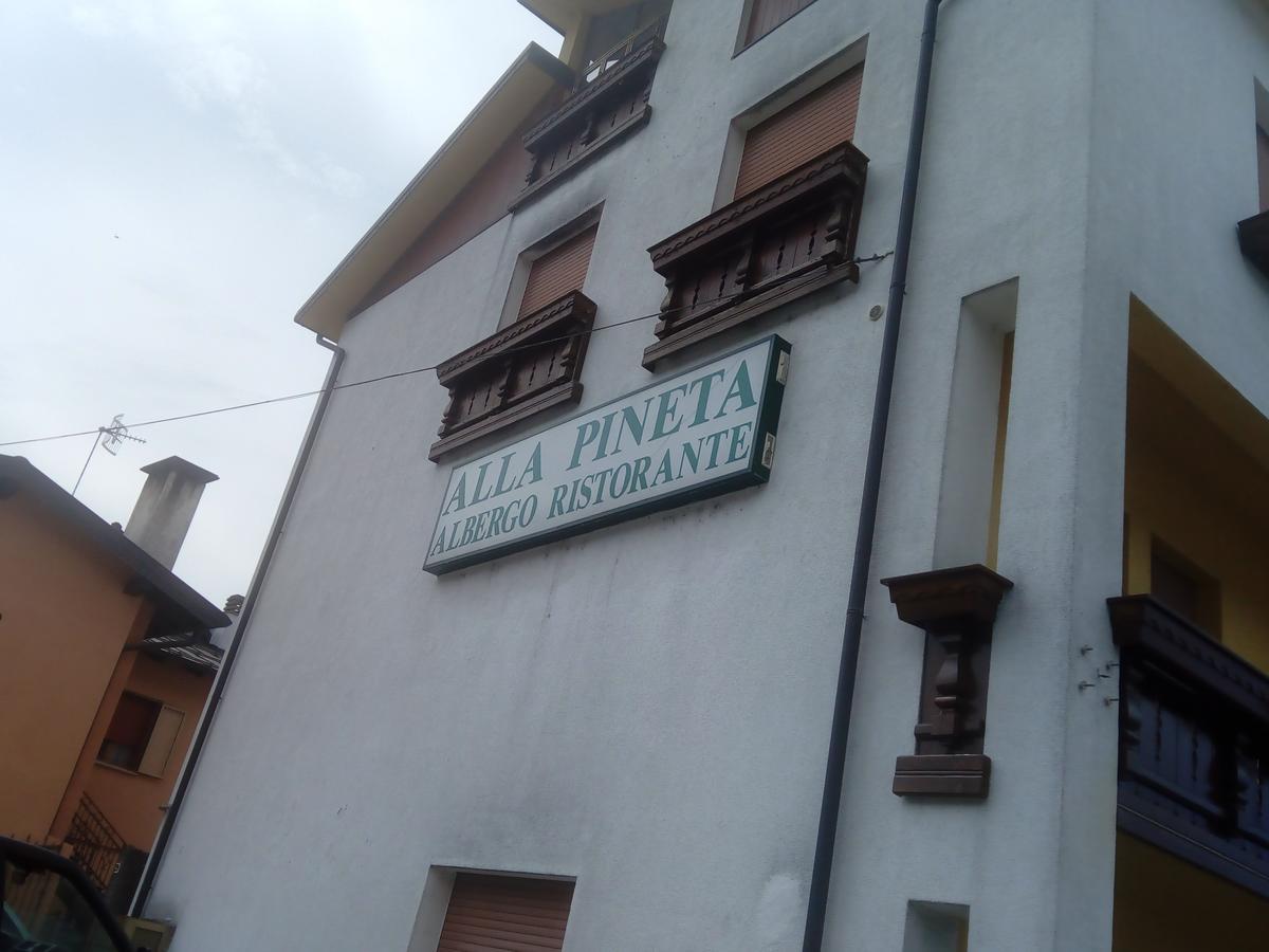Albergo Alla Pineta Villa Santina Exteriör bild