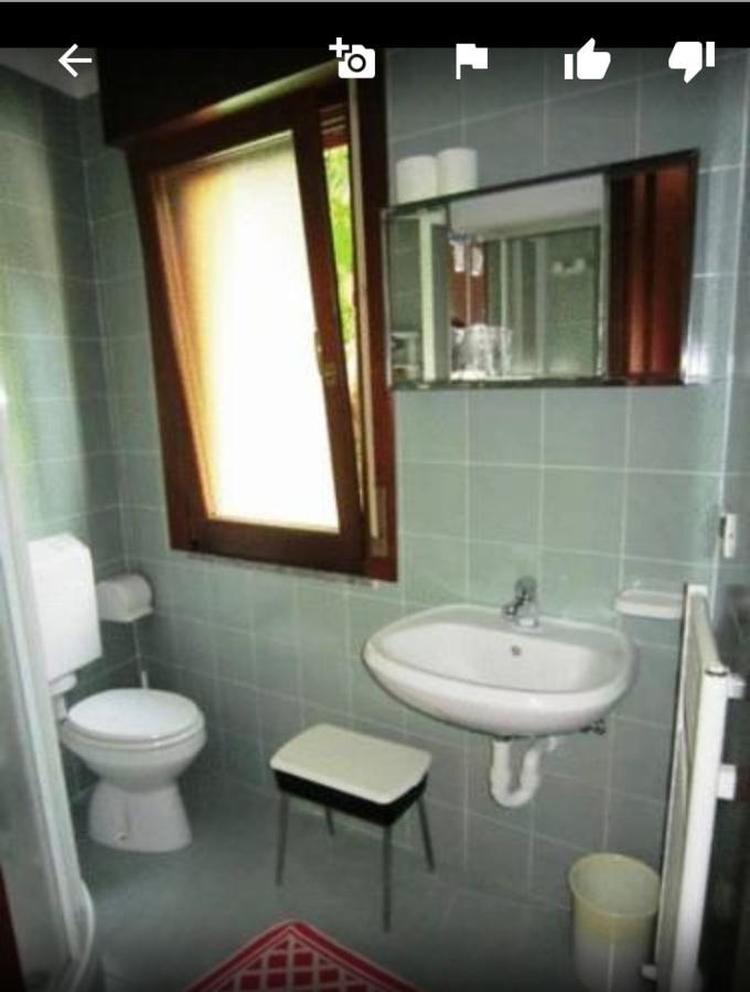 Albergo Alla Pineta Villa Santina Exteriör bild